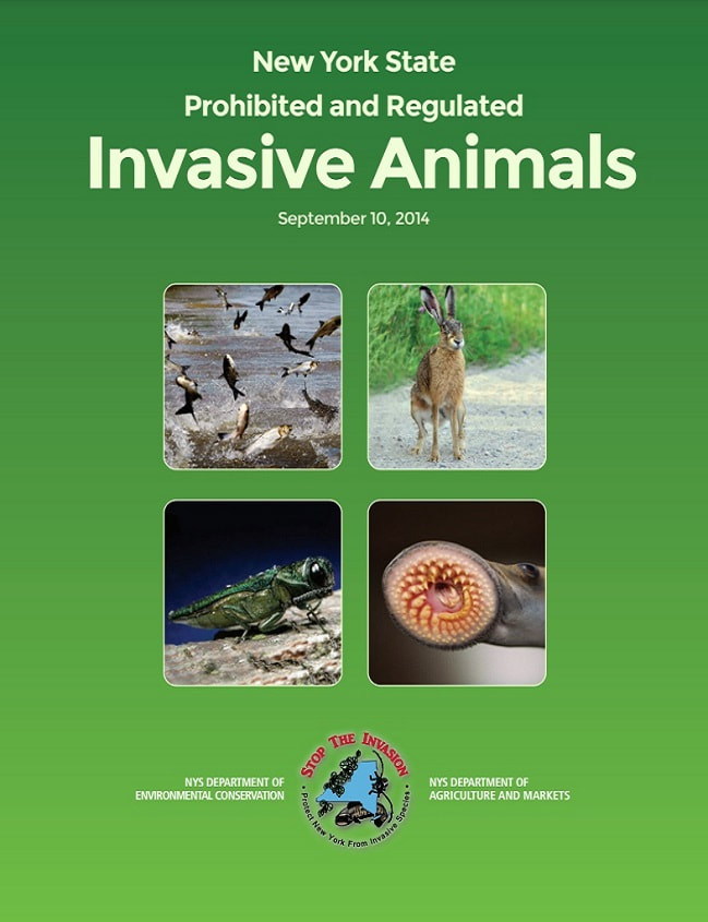 New York State Prohibited and Regulated Invasive Animals