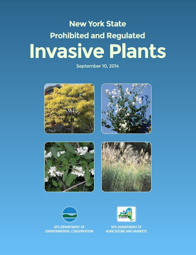 New York State Prohibited and Regulated Invasive Plant